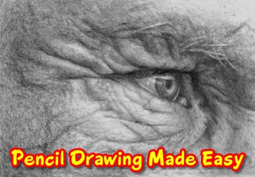 Realistic portrait drawing by a course participant, highlighting detailed facial features learned in how to draw lessons.